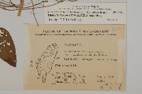 臺灣鬼督郵藏品圖，第2張