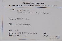 賽山藍藏品圖，第2張