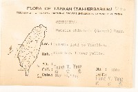 蟛蜞菊藏品圖，第2張