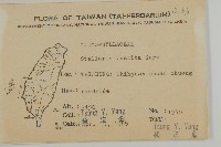 疏花繁縷藏品圖，第2張