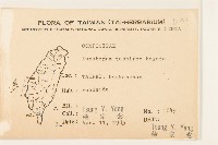 田代氏澤蘭藏品圖，第2張