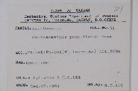 針刺草藏品圖，第2張