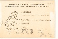 臺灣款冬藏品圖，第2張