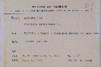 爵床藏品圖，第2張