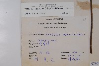 冇骨消藏品圖，第2張