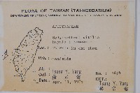 乳藤藏品圖，第2張