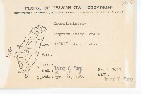 亨利氏伊立基藤藏品圖，第2張