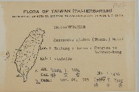 草珊瑚、紅果金粟蘭藏品圖，第2張