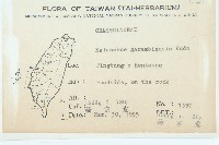 鵝鑾鼻燈籠草藏品圖，第2張