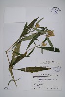 登錄號:S075998藏品圖，第1張