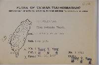 鐵冬青藏品圖，第2張