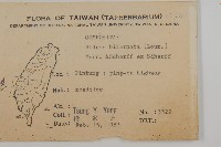 鬼針舅藏品圖，第2張