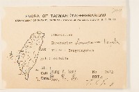 臺灣澤蘭藏品圖，第2張