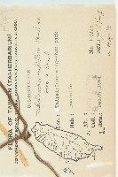 青牛膽藏品圖，第2張