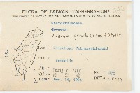 菜欒藤藏品圖，第2張