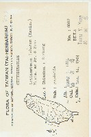 合子草藏品圖，第2張