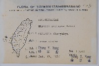 恆春厚殼樹藏品圖，第2張