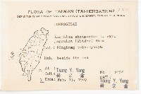 蒼耳藏品圖，第2張