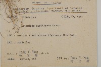 細葉山艾藏品圖，第2張