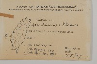 臺灣馬蘭藏品圖，第2張