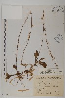 臺灣鬼督郵藏品圖，第1張