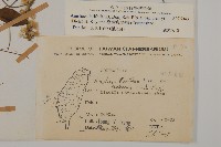 臺灣鬼督郵藏品圖，第2張
