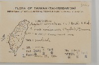 玉山抱莖籟簫藏品圖，第2張