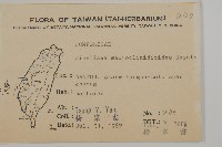 阿里山鬼督郵藏品圖，第2張