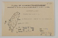 蠅子草藏品圖，第2張