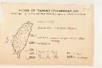田代氏澤蘭藏品圖，第2張