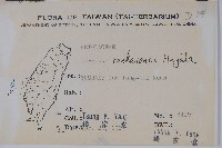 蘭邯千金榆藏品圖，第2張