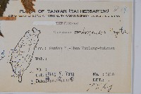 蘭邯千金榆藏品圖，第2張