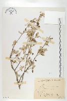 宜梧藏品圖，第1張