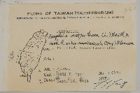 玉山抱莖籟簫藏品圖，第2張