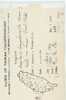 馬交兒藏品圖，第2張