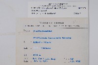 大葉馬兜鈴藏品圖，第2張