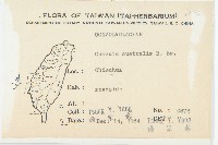 菟絲子藏品圖，第2張