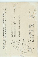 杜英、山杜英、蘭嶼杜英藏品圖，第2張