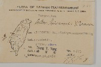 臺灣馬蘭藏品圖，第2張