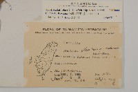 臺灣鬼督郵藏品圖，第2張