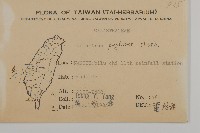 光果南蛇藤藏品圖，第2張