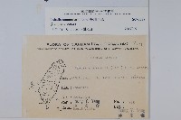 普刺特草藏品圖，第2張