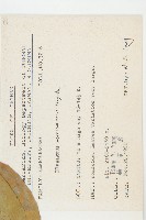 玉山胡頹子藏品圖，第2張