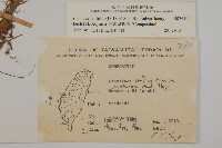 臺灣鬼督郵藏品圖，第2張