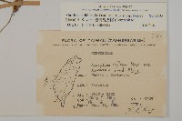 臺灣鬼督郵藏品圖，第2張