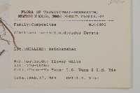 阿里山鬼督郵藏品圖，第2張