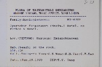 爬森藤藏品圖，第2張