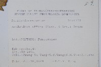 小錦蘭藏品圖，第2張