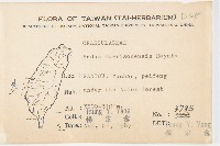 玉山佛甲草藏品圖，第2張