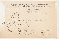 玉山佛甲草藏品圖，第2張